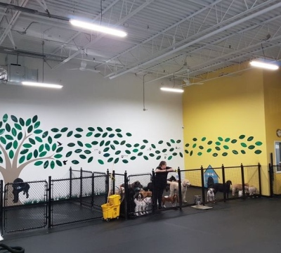 Doggy-Daycare
